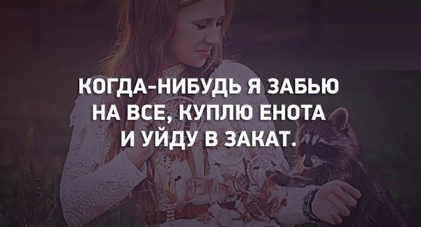 Он когда нибудь уйдет. Я когда нибудь уйду. возьму енота и уйду в закат. хочется уйти в закат.