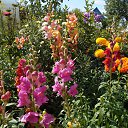 ���� �����, ������, 60 ��� - ��������� 3 ������� 2015