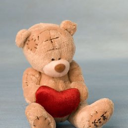 �����, ����������, 41 ���