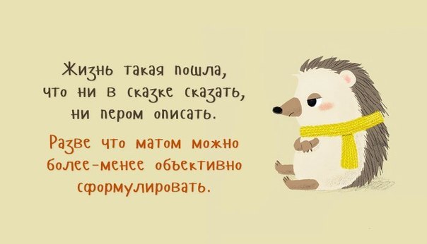  . - 19  2015  15:57