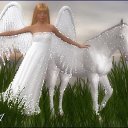 ���� �������, ���������, 63 ���� - ��������� 14 �������� 2015 � ������ ������ ��������