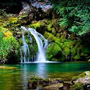 ���� Alehandro, ����������, 53 ���� - ��������� 2 �������� 2015 � ������ ���� ����������