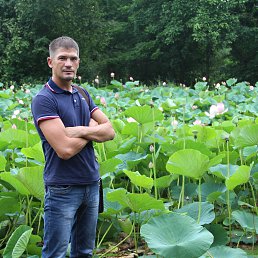 ���� ����, �����������, 43 ���� - ��������� 15 ������� 2015