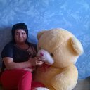 ���� �����, �����������, 49 ��� - ��������� 24 ���� 2015 � ������ ���� ����������