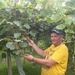 ���� Ivan, ���������, 53 ���� - ��������� 19 ������� 2015