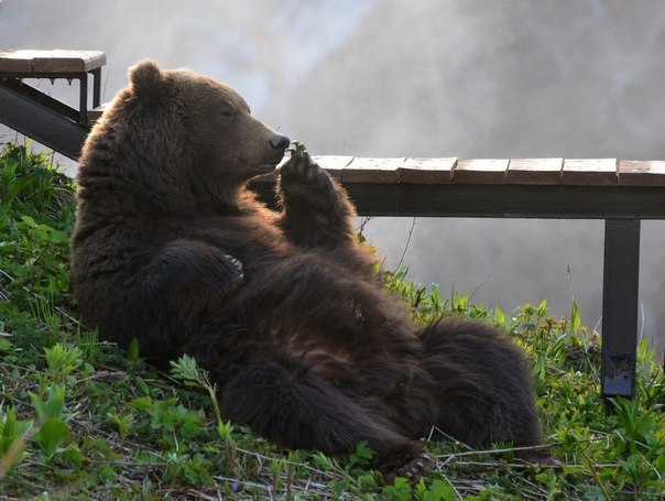    .#_@interestplanet_ru