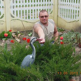 Denis, ������, 43 ����