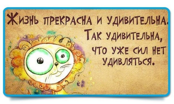  - 13  2015  14:23