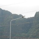    -  ,  -  4  2015    2014.  .  4-.