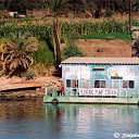 ���� Osama, �������, 61 ��� - ��������� 11 ���� 2015 � ������ ������ ��������