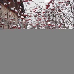 ������, ������, 46 ���