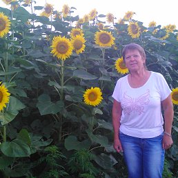 ������ 2015 �. ���������.