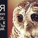 ���� ���� 66 Oksana, ���� - ��������� 7 ��� 2015 � ������ ������ ��������