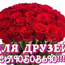 ���� ����, ������ - ��������� 17 ��� 2015 � ������ ���� ����������