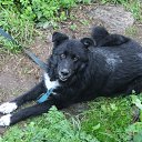 ���� �������, �����-���������, 54 ���� - ��������� 23 �������� 2015 � ������ ������� +������