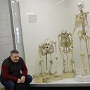 ��� ����� �������� (������������� �����) �� ������� ������-���������, ������� 2015�