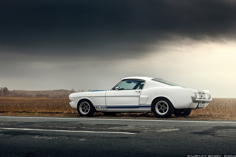 Ford Mustang Shelby GT350. - 5