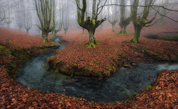    .   (Gorbea Natural Park)     ... - 3