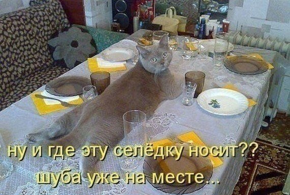  - 20  2015  19:58