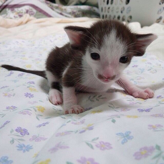 .   :3