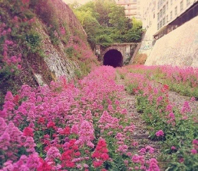    Petite Ceinture, 