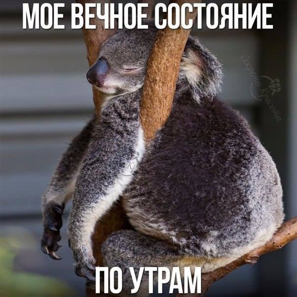   - 17  2015  09:11