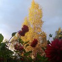 ���� �����, �����-���������, 77 ��� - ��������� 23 �������� 2015 � ������ ������ ��������