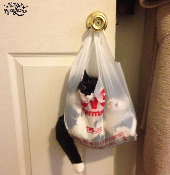 ���� � �������� ���������