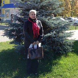Светлана, 59, Строитель