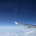 ���� ���������, ����, 51 ��� - ��������� 8 ������� 2015 � ������ ���� ����������