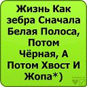 ���� �����, ������� - ��������� 2 �������� 2015 � ������ ������ ��������