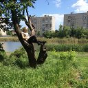 ���� ���������, ���������, 28 ��� - ��������� 28 ���� 2015