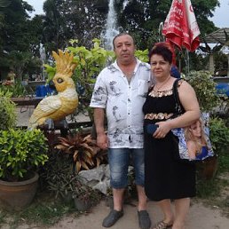 ����, ����, 64 ����