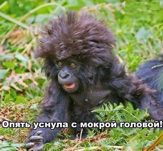 - - 27  2015  08:06