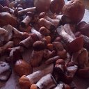 ���� �������, ����� - ��������� 12 ���� 2015 � ������ ���� ����������