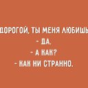 ���� ������, �����������, 65 ��� - ��������� 8 ������� 2015 � ������ ������ ��������