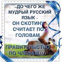 ���� �����, �����-��������� - ��������� 1 ��� 2015 � ������ ������ ��������