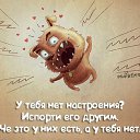 ���� Vassa, ���� - ��������� 25 ������ 2015 � ������ ������ ��������