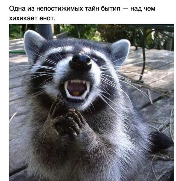 ����� � ��� ����� ����, ������ ������ � �����. �������, ��� � � ������������, � ��� ���� ���� ... - 3