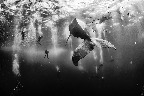    National Geographic      ... - 7