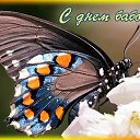 ���� �������� ���������, �����, 41 ��� - ��������� 15 ���� 2015 � ������ �������� ��������