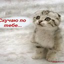 ���� �����, �����-���������, 57 ��� - ��������� 9 ���� 2015 � ������ ���� ����������