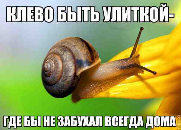  - 7  2015  11:48