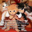 ���� ������, ����, 63 ���� - ��������� 6 ������� 2015 � ������ ������ ��������