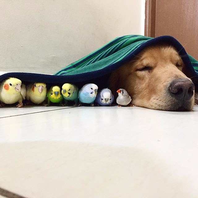   - 10