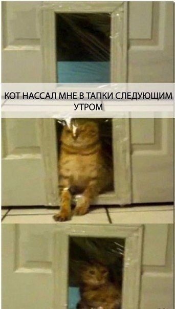    ... #@https://fotostrana.ru/away?to=/sl/XE2 - 2
