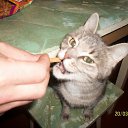 ���� Pavel Superstar, ������������, 39 ��� - ��������� 29 ������� 2015 � ������ ���� ����������