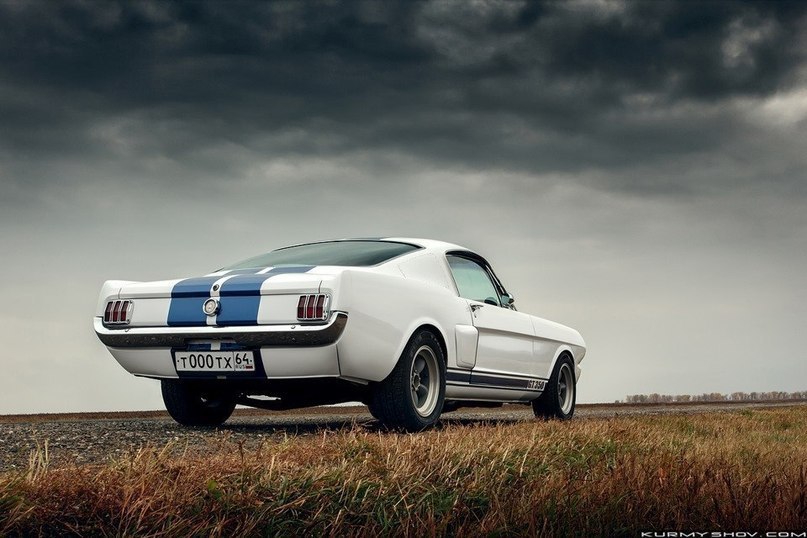 Ford Mustang Shelby GT350 - 8
