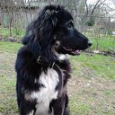 ���� ������, �����-���������, 63 ���� - ��������� 1 ���� 2015 � ������ ���� ����������