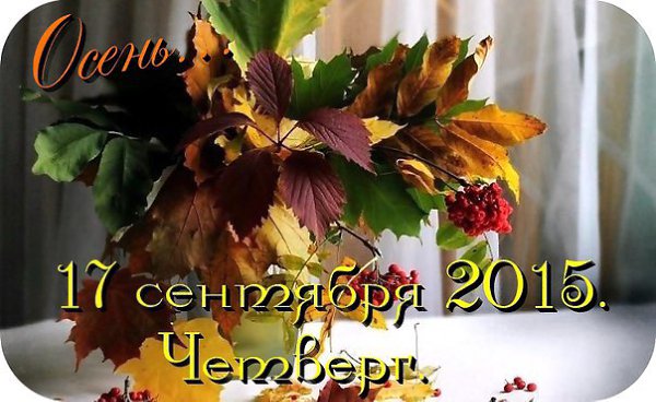  - 17  2015  08:23